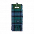 картинка Clans of Scotland Mackenzie Ancient от магазина  Mykilt